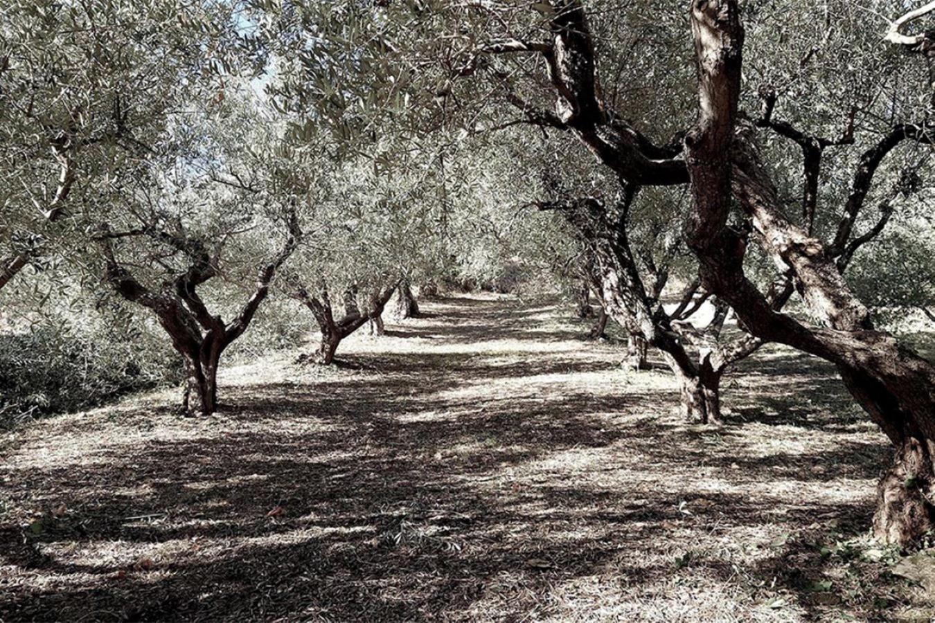 Bed And Breakfast La Vecchia Scuola Montefano Luaran gambar