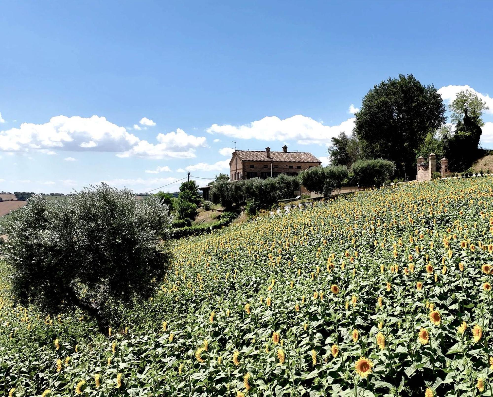 Bed And Breakfast La Vecchia Scuola Montefano Luaran gambar
